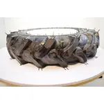 купити Колесо для мотоблока 6.00-12" під 4 болта (8 шарів) 14 ламелей, фото , изображение 3