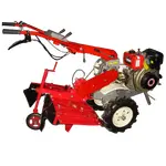 купити Фреза активна до мотоблока Kipor/КАМА/Parma 610/910, фото , изображение 2