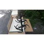 купити Фреза-ротоватор для мотоблока WEIMA WM900, фото , изображение 2